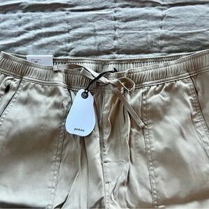 PrAna Zion Stretch Field Pants in Sandbar